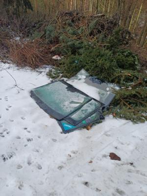 Autosklo do lesa nepatří 1